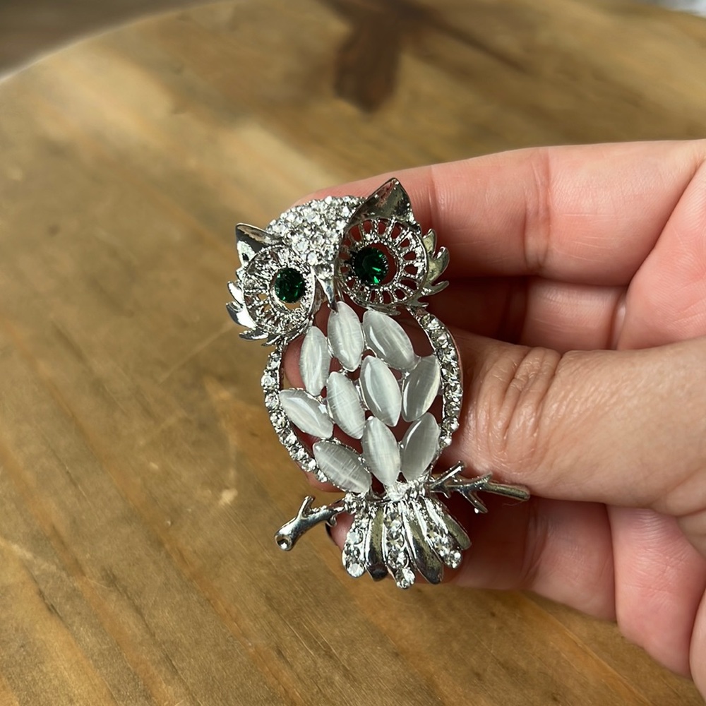 Silver owl 🦉 brooch custom jewelry. NWOT